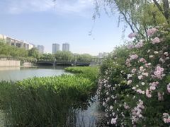 -尚贤河湿地