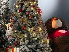 -咖法森林·咖啡  酒吧(天河店)