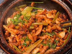 -煲煲好(朝阳门店)