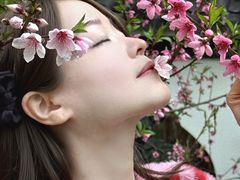 -南汇桃花村