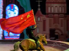 -俄罗斯国家大马戏团