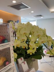 -杭州贝瑞斯美华妇儿医院·早孕·产检·儿科