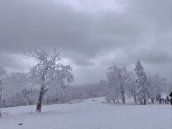 -大秃顶子山(雪谷店)
