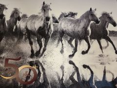 -深圳湾万象城(南山店)