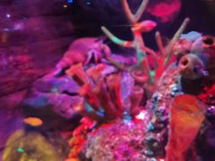 -沈阳海洋探索中心