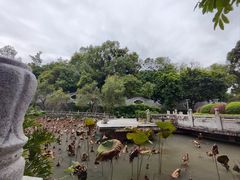 -国恩寺