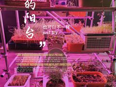 -现代汽车文化中心 Hyundai Motorstudio Beijing