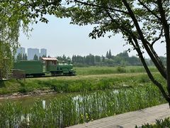 -长田漾湿地公园