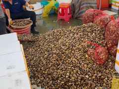 -海峡水产品交易中心(海鲜交易区)