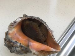 臭海螺-盒马鲜生(王府广场店)