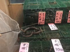 -荔城生鲜盛宴(番禺旗舰店)