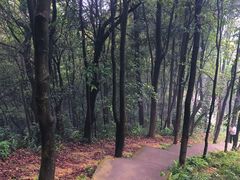 -广州市帽峰山景区