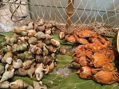 -鲤鱼洲酒店港鲤咖啡厅