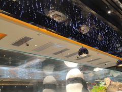 -红辣椒·川菜·火锅(大洋中心店)