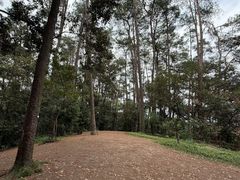 -三门江国家森林公园