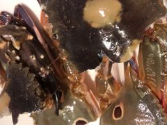 -诱货海鲜自助火锅(爱琴海购物公园东百店)