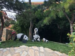 -新川办餐厅