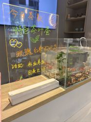 -克丽缇娜