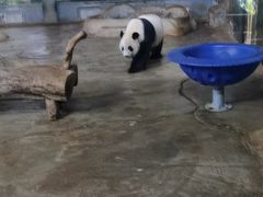 -海南热带野生动植物园