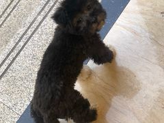 -萧山德纳MAX影城