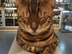 -小时光咖啡馆(开森度假森林店)
