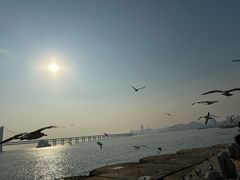 -星海广场