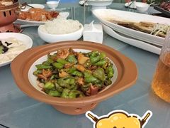 -大连湾旭日·家宴·海肠捞饭(马栏广场店)