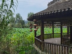 -渭南桃花源民俗文化园