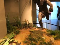 -北京周口店北京人遗址博物馆