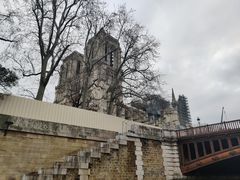 -巴黎圣母院