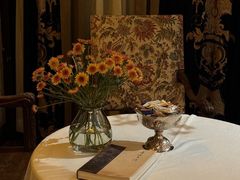 -叶叶菩提(太原别墅店)