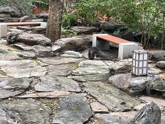 -大觉寺-停车场