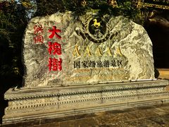 -大槐树寻根祭祖园