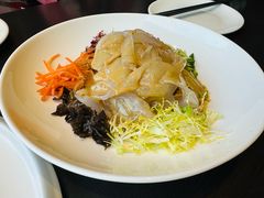 五彩大拉皮-仰德楼新京菜烤鸭店