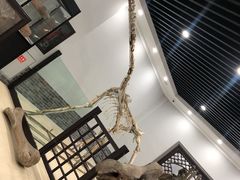 -游龙石文化科普馆