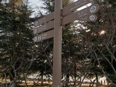 -大兴滨河森林公园