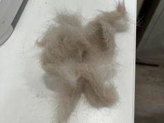 -暖阳宠物医院·犬猫康复中心·骨科