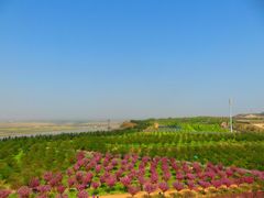 -古柏渡飞黄旅游区