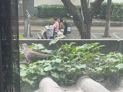 -王府茶宴(大观园总店)