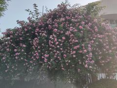 -独雅老火锅(原宏声巷店)