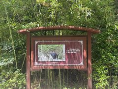 -牛背梁国家森林公园