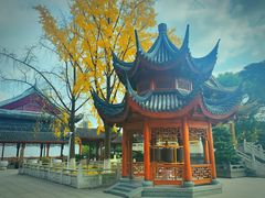 -上海东林寺(金山区)