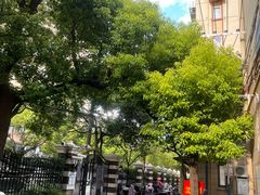 -沈师傅盲人按摩工作室(密三小区店)