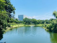 -同济大学(嘉定校区)