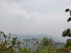 -北仑森林植物园