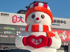 -盛京大奥莱(沈阳奥体店)