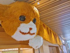 -帕帕拉兹宠物(亚洲旗舰店)