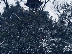 -塔云山