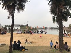 -金卉庄园