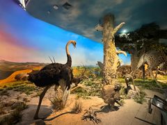 -国家自然博物馆